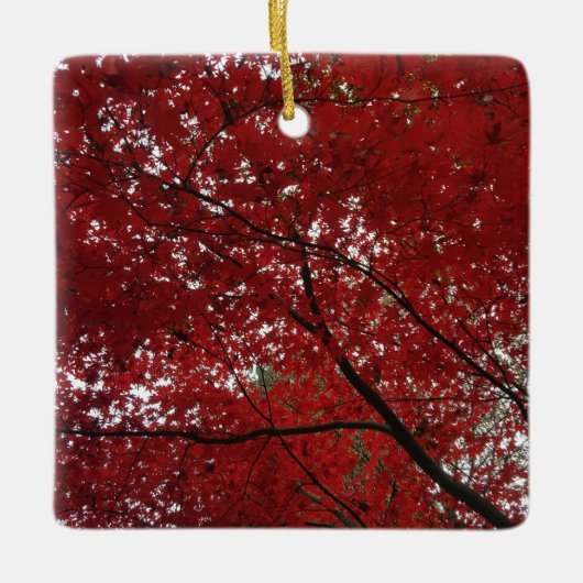 Boom Herfst Season Red Brown Autumn Leaves Keramisch Ornament (Voorkant)