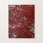 Boom Herfst Season Red Brown Autumn Leaves Legpuzzel (Verticaal)