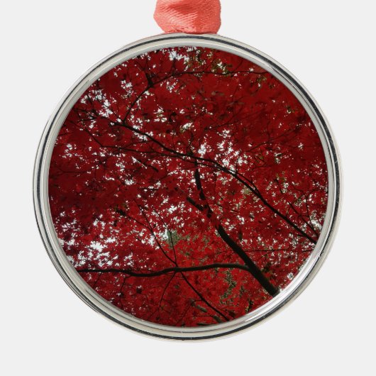 Boom Herfst Season Red Brown Autumn Leaves Metalen Ornament (Voorkant)