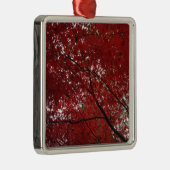 Boom Herfst Season Red Brown Autumn Leaves Metalen Ornament (Rechts)