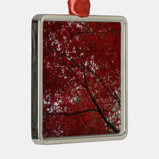 Boom Herfst Season Red Brown Autumn Leaves Metalen Ornament (Rechts)