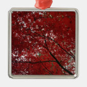 Boom Herfst Season Red Brown Autumn Leaves Metalen Ornament (Voorkant)