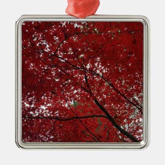 Boom Herfst Season Red Brown Autumn Leaves Metalen Ornament (Voorkant)