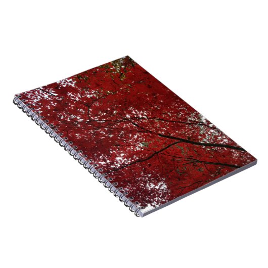 Boom Herfst Season Red Brown Autumn Leaves Notitieboek (Rechterzijde)