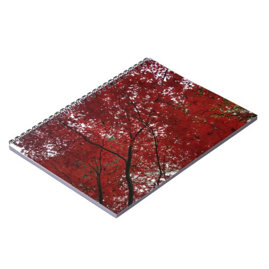 Boom Herfst Season Red Brown Autumn Leaves Notitieboek (Linkerzijde)