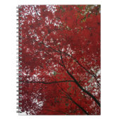Boom Herfst Season Red Brown Autumn Leaves Notitieboek (Voorkant)