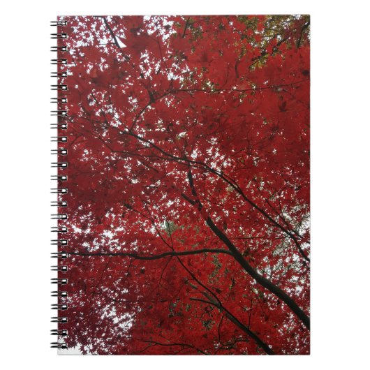Boom Herfst Season Red Brown Autumn Leaves Notitieboek (Voorkant)