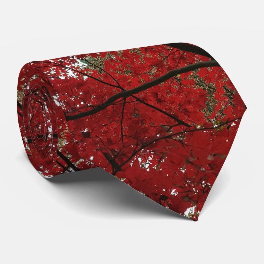 Boom Herfst Season Red Brown Autumn Leaves Stropdas (Opgerold)