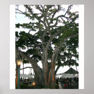 Boom Honolulu, strand van Hawaii Waikiki Poster