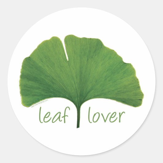 Boom Hugger, Leaf Lover - Ginkgo Ronde Sticker (Voorkant)