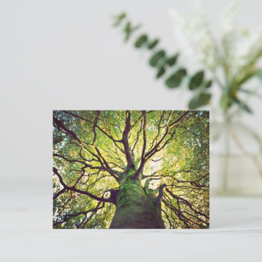 Boom Hugging Briefkaart (Staand voorkant)