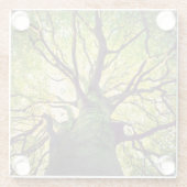 Boom Hugging Glazen Onderzetter (Achterkant)