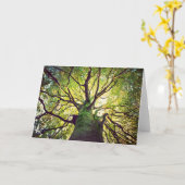 Boom Hugging Kaart (Gele Bloem)