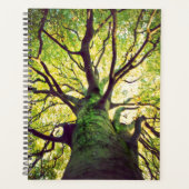 Boom Hugging Planner (Voorkant)