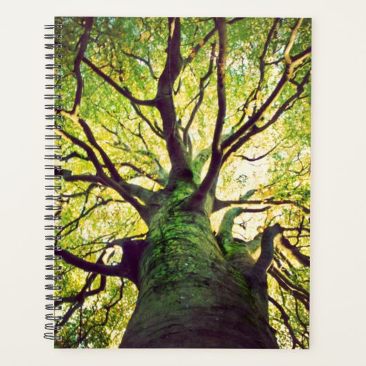 Boom Hugging Planner (Voorkant)