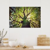 Boom Hugging Poster (Keuken)