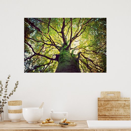 Boom Hugging Poster (Keuken)