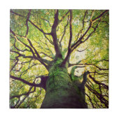 Boom Hugging Tegeltje (Voorkant)