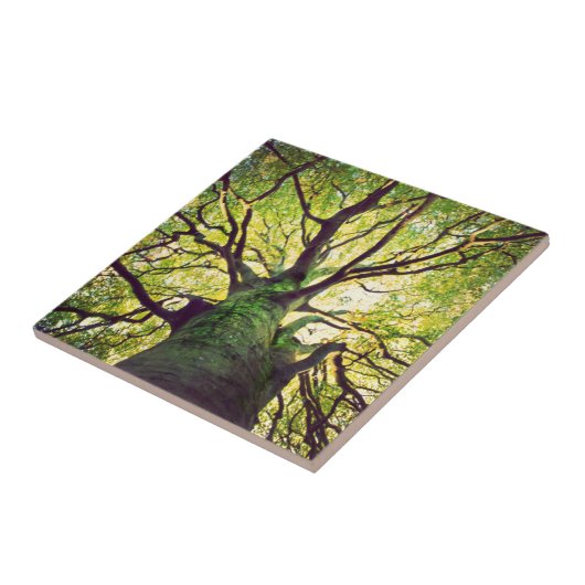 Boom Hugging Tegeltje (Zijkant)