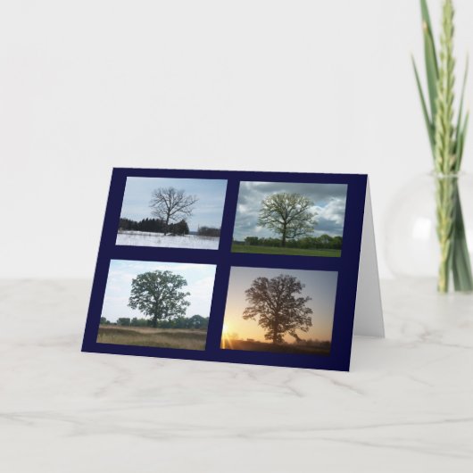 Boom in 4 Seizoenen Kaart (Voorkant)