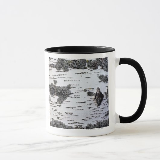 Boom in bos, detail, met mos mok (Rechts)