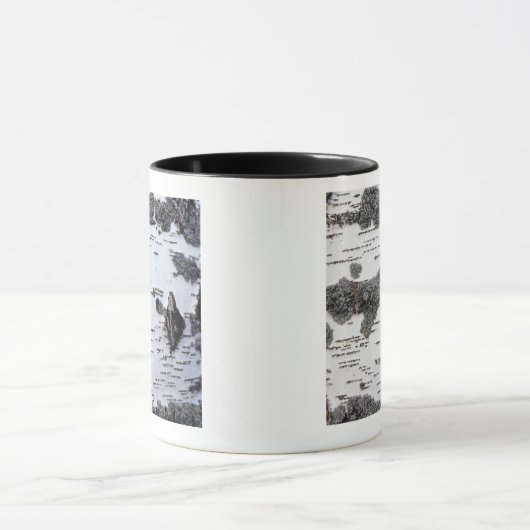 Boom in bos, detail, met mos mok (Midden)