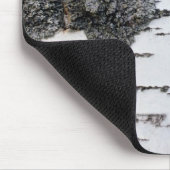 Boom in bos, detail, met mos muismat (Hoek)