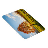 Boom in brand magneet (Rechterzijde)