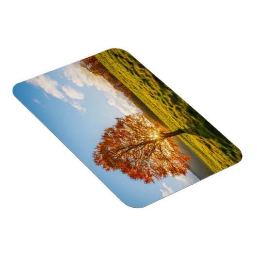 Boom in brand magneet (Rechterzijde)