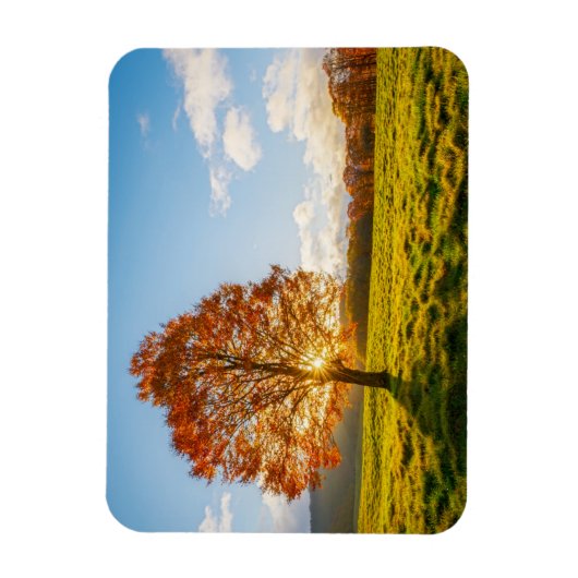 Boom in brand magneet (Verticaal)