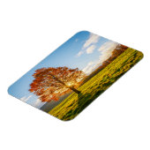 Boom in brand magneet (Linkerzijde)