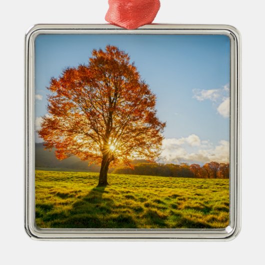 Boom in brand metalen ornament (Voorkant)