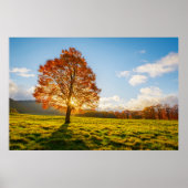 Boom in brand poster (Voorkant)