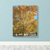 Boom in de gouden uur canvas afdruk (Insitu (Houten vloer))