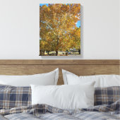 Boom in de gouden uur canvas afdruk (Insitu (Slaapkamer))