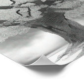 Boom in de grijze schelpen poster (Hoek)