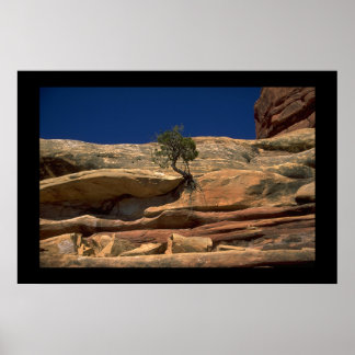 Boom in de muur poster