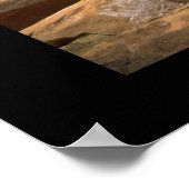 Boom in de muur poster (Hoek)