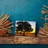 Boom in de ochtend fotoplaat (Zijkant)