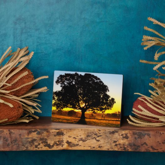 Boom in de ochtend fotoplaat (Zijkant)