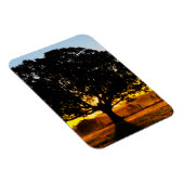 Boom in de ochtend magneet (Rechterzijde)