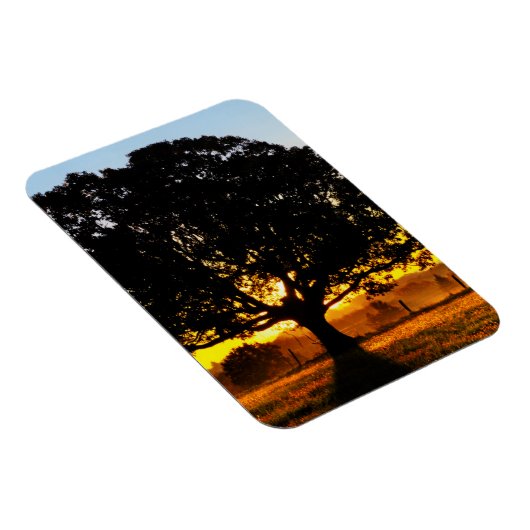 Boom in de ochtend magneet (Rechterzijde)