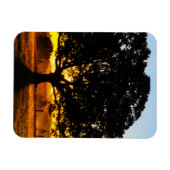 Boom in de ochtend magneet (Horizontaal)