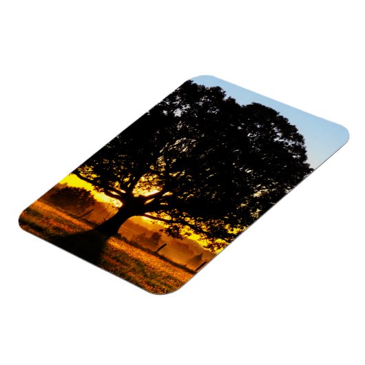 Boom in de ochtend magneet (Linkerzijde)