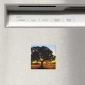 Boom in de ochtend magneet (Insitu (Vaatwasser))