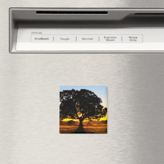 Boom in de ochtend magneet (Insitu (Vaatwasser))