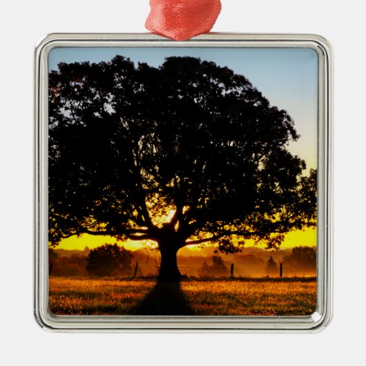 Boom in de ochtend metalen ornament (Voorkant)