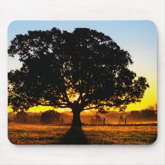 Boom in de ochtend muismat (Voorkant)