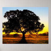 Boom in de ochtend poster (Voorkant)
