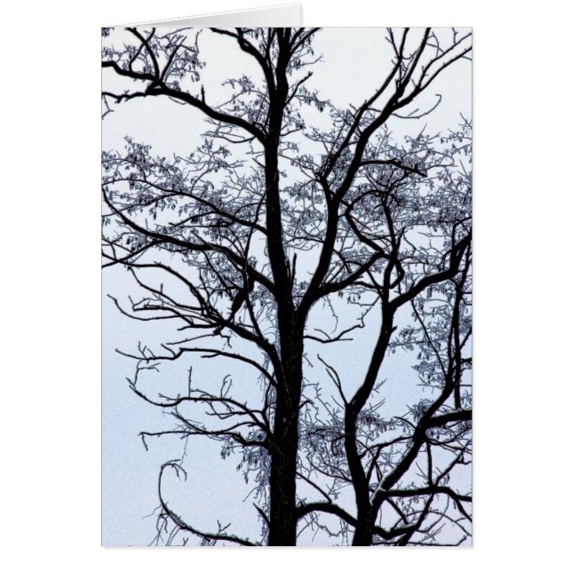 Boom in de winter (Voorkant)